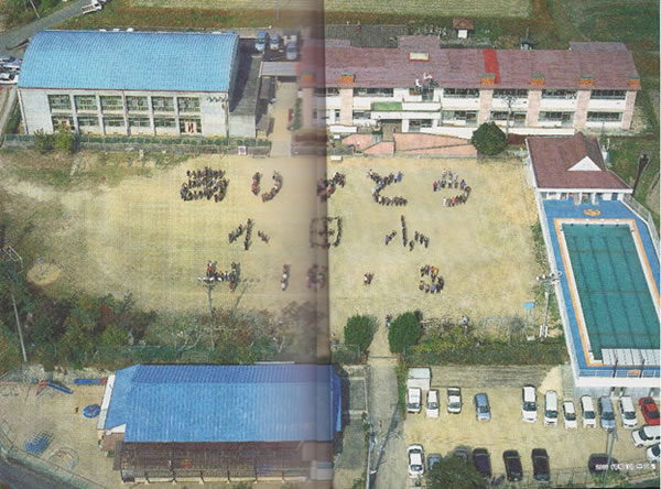 航空写真